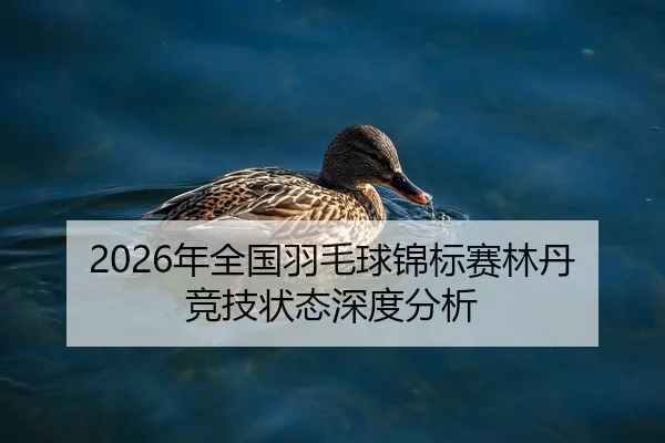 2026年全国羽毛球锦标赛林丹竞技状态深度分析