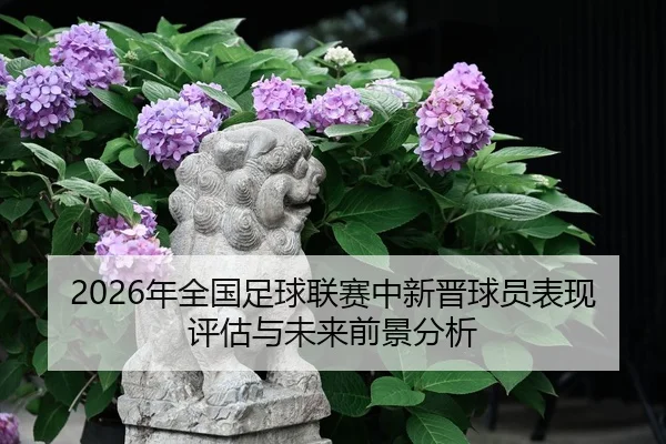 nian-quan-guo-zu-qiu-lian-sai-zhong-xin-jin-qiu-yuan-biao-xian-ping-gu-yu-wei-lai-qian-jing-fen-xi-2-512.jpg