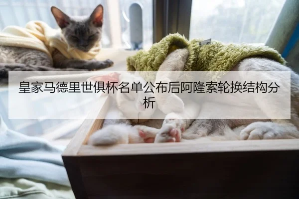 皇家马德里世俱杯名单公布后阿隆索轮换结构分析