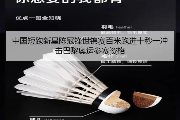 zhong-guo-duan-pao-xin-xing-chen-guan-feng-shi-jin-sai-bai-mi-pao-jin-shi-miao-yi-chong-ji-ba-li-ao-yun-can-sai-zi-ge-3-780.jpg