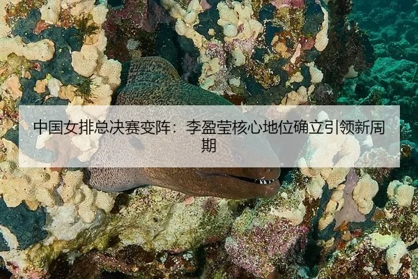 zhong-guo-nv-pai-zong-jue-sai-bian-zhen-li-ying-ying-he-xin-di-wei-que-li-yin-ling-xin-zhou-qi-2-940.jpg
